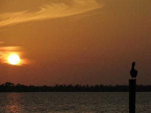 eating well while on vacation in Matlacha Florida