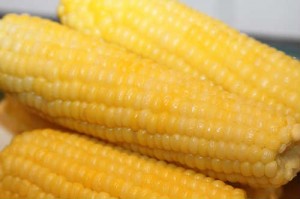 corn is a common allergan and can interfere with good gut health