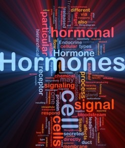 hunger hormones