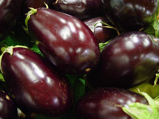Eggplant is a member of the nightshade family