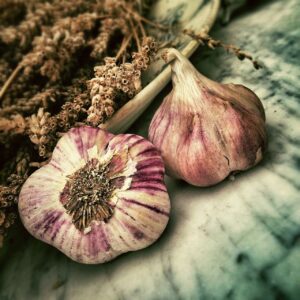 Garlic And Your Immune System