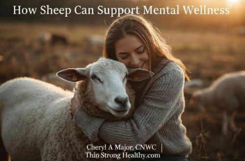 How Sheep Can Calm You and Support Your Mental Health and Wellness